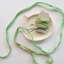 copy of SARI DE SARA...