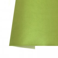 copy of ECOPIEL SATINADA...