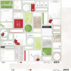 copy of DAISY Papel 6 MES...